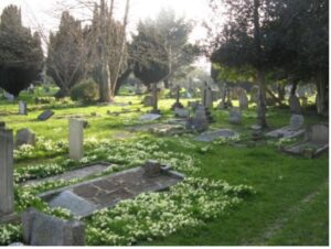 bosham burial ground